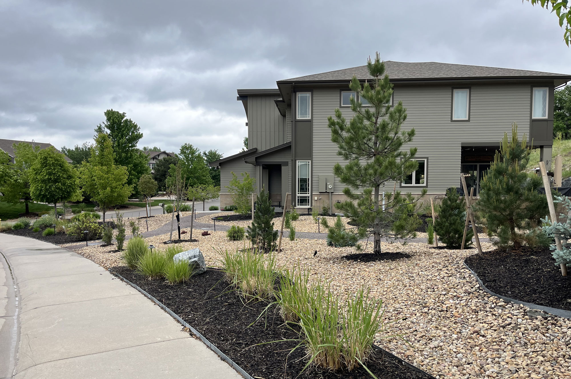 native and drought tolerant landscaping for colorado