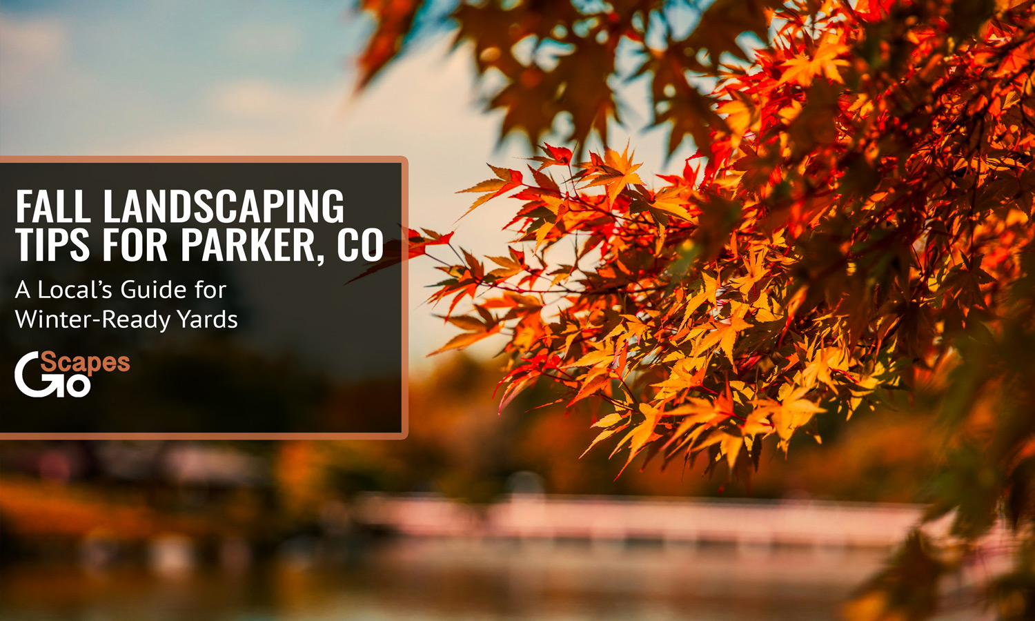 fall landscaping tips for parker, colorado